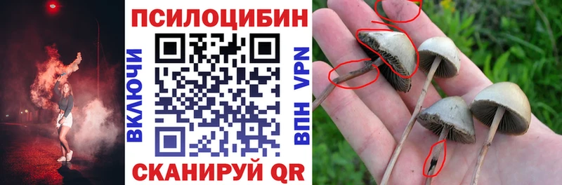 Галлюциногенные грибы Psilocybine cubensis  Сочи 